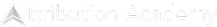 Attribution Academy - White Logo - Home
